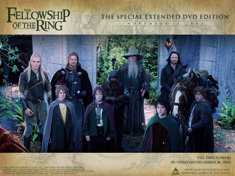 Fellowship Of The Ring Poster. Fellowship DVD Special - The